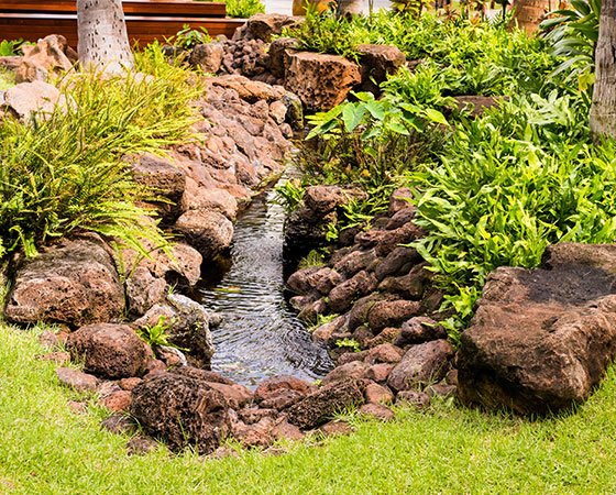 Lush garden with a rock-lined stream.