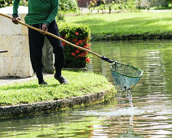 4,705 Pond Cleaning Stock Photos - Free & Royalty-Free Stock