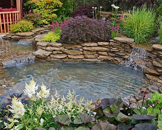 Garden pond with rocks and colorful plants.