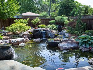 Backyard pond with waterfall and garden landscape.