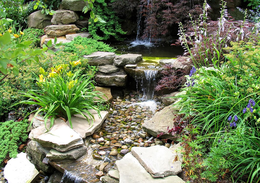 pondless-3