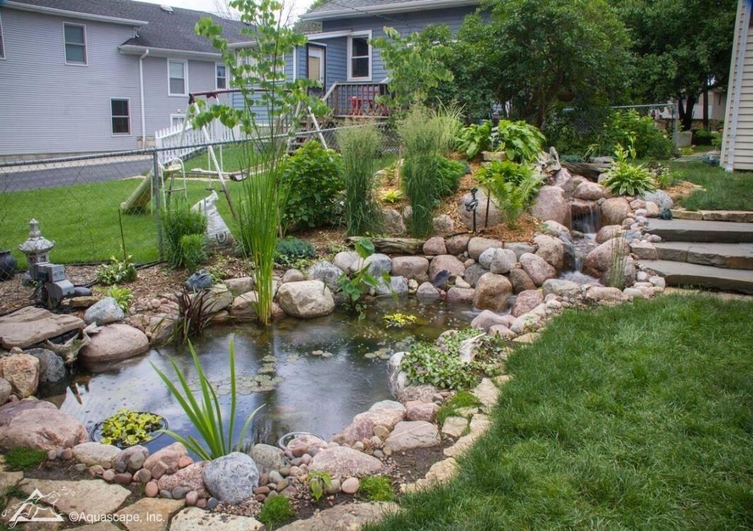 How to Build a Pond in 10 Simple Steps