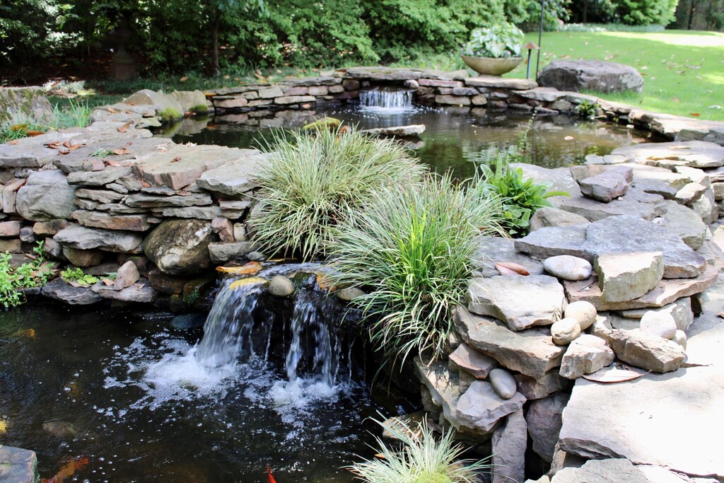 Koi Pond In Memphis