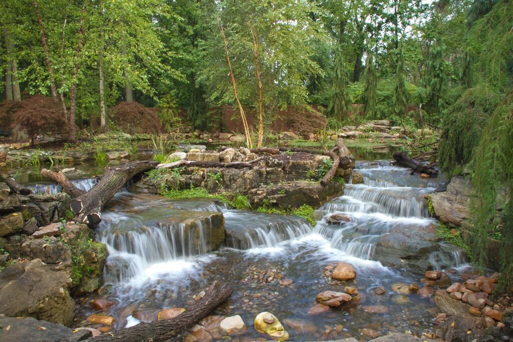 Serene forest stream with cascading waterfalls