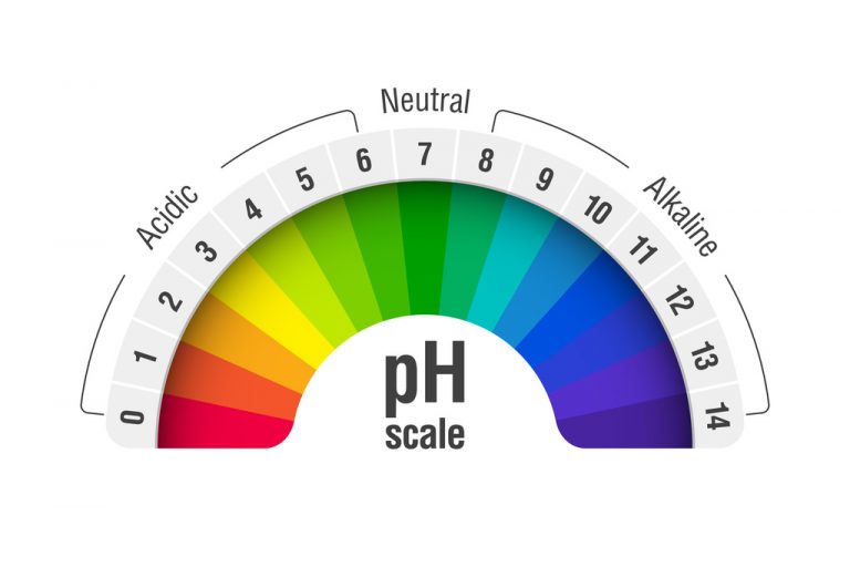 What Is the Ideal pH Level for a Koi Pond? Midsouth Ponds