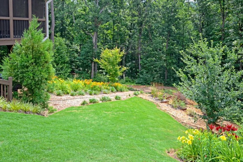 Ideal area in backyard to show how to build a pondless waterfall and stream