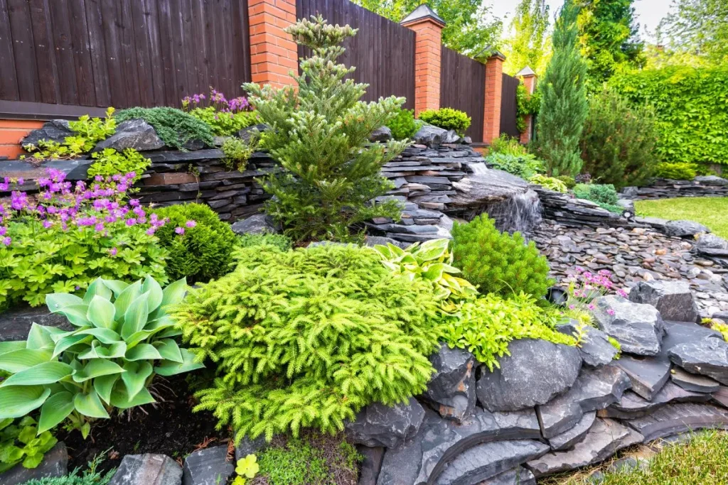 Plants around a pondless waterfall