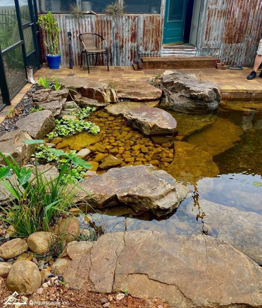 stones and plants surrounding recreation pond 