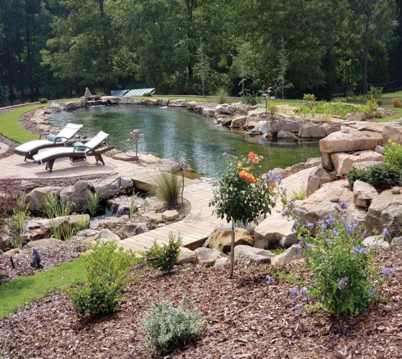 Swimming pond with landscaping