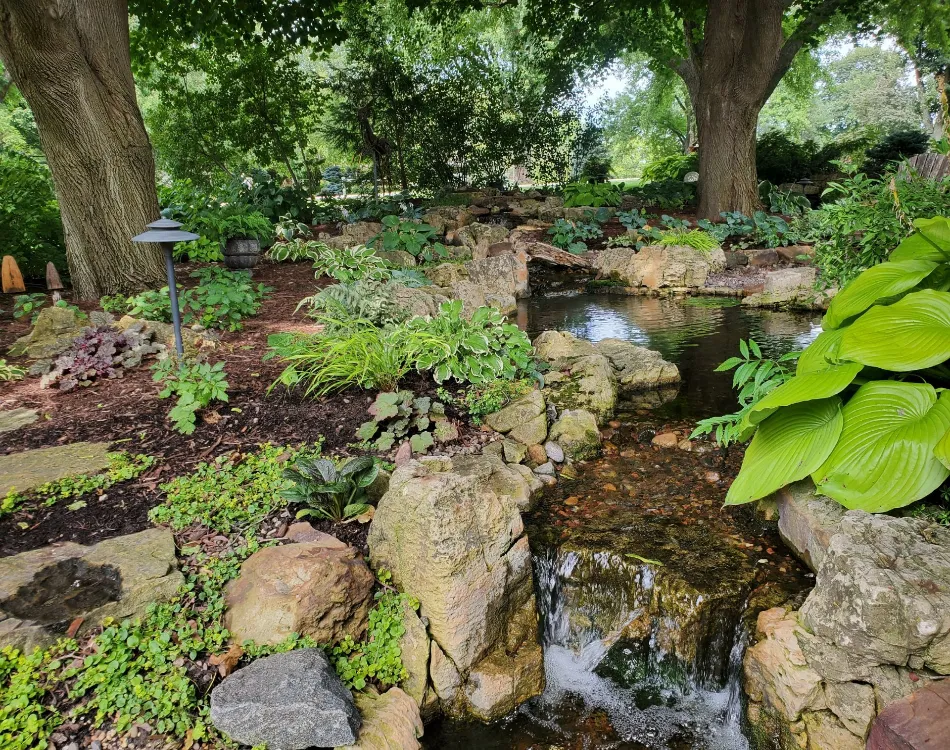 A water garden with a waterfall surrounded by various plants and trees.