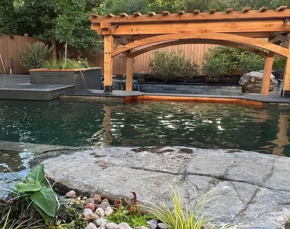 A water garden pond with a pergola in the background.