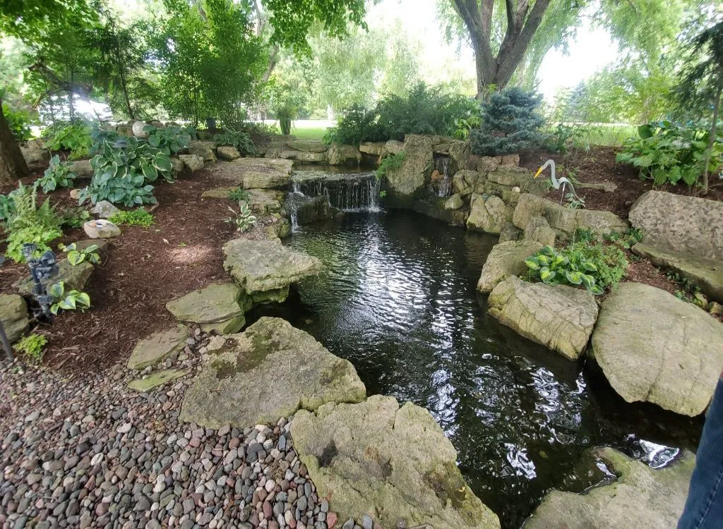 Serene garden pond with rocks and plants.