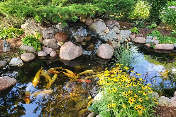 pond building